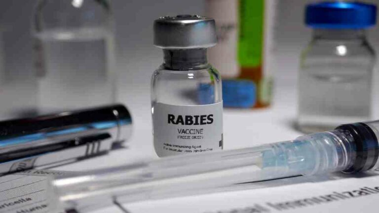 Getting your rabies vaccine is essential when it comes to protecting yourself and your loved ones.