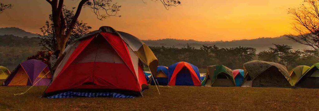 Should I get a tick borne encephalitis vaccine if I am going camping?